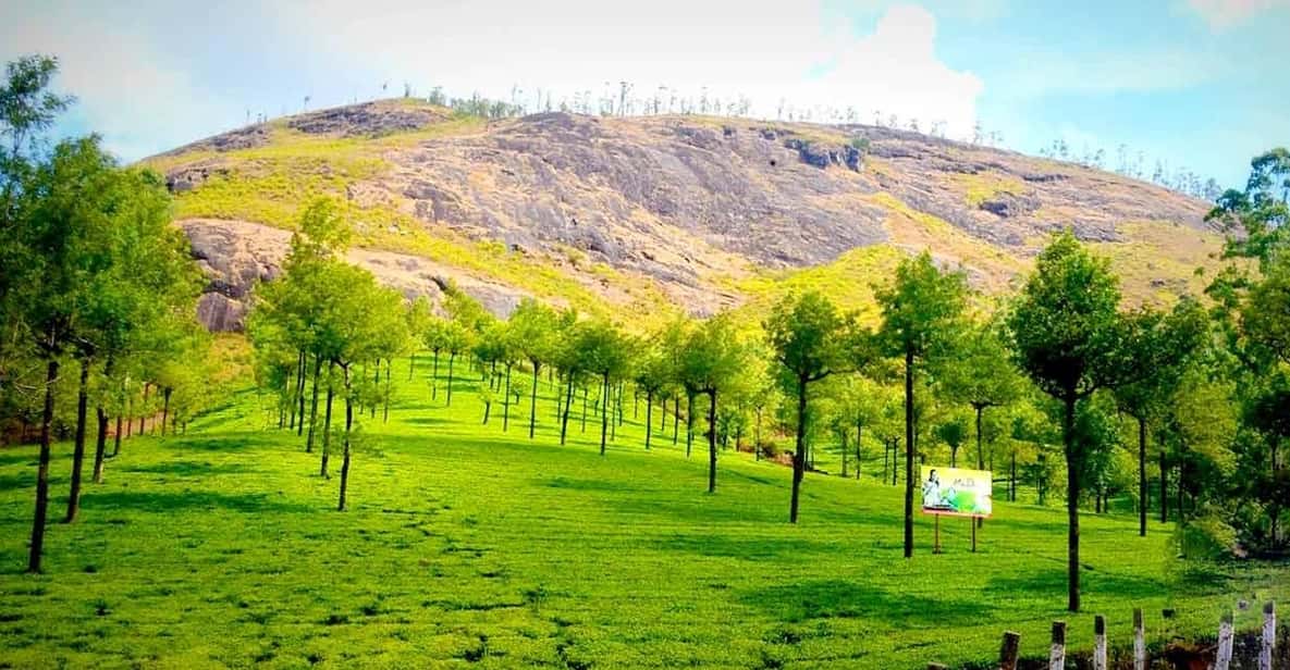 Munnar: Local Highlights Day Tour with Top station Visit - The Itinerary Breakdown: What to Expect from the Tour