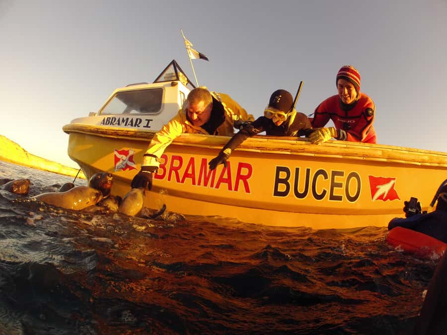 PUERTO MADRYN , SNORKELING WITH SEA LIONS - Puerto Madryn Snorkeling with Sea Lions: An Up-C close Encounter in Patagonia