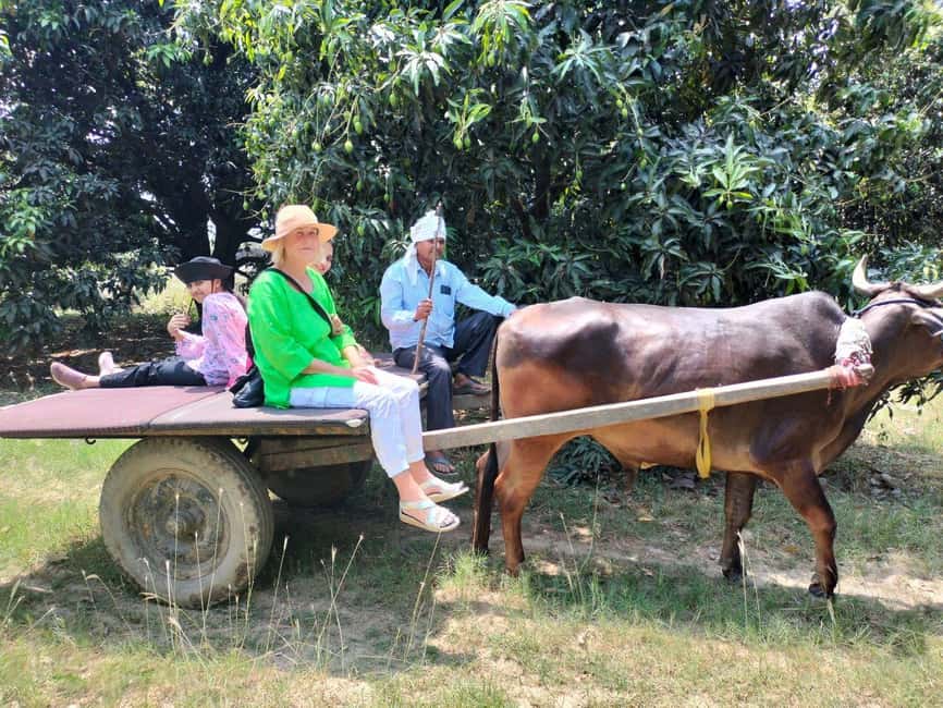 Private Tour to an Indian Village & Cooking Class - Itinerary and Key Activities