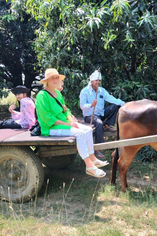Private Tour to an Indian Village & Cooking Class - Culinary Experience: A Homemade Traditional Lunch
