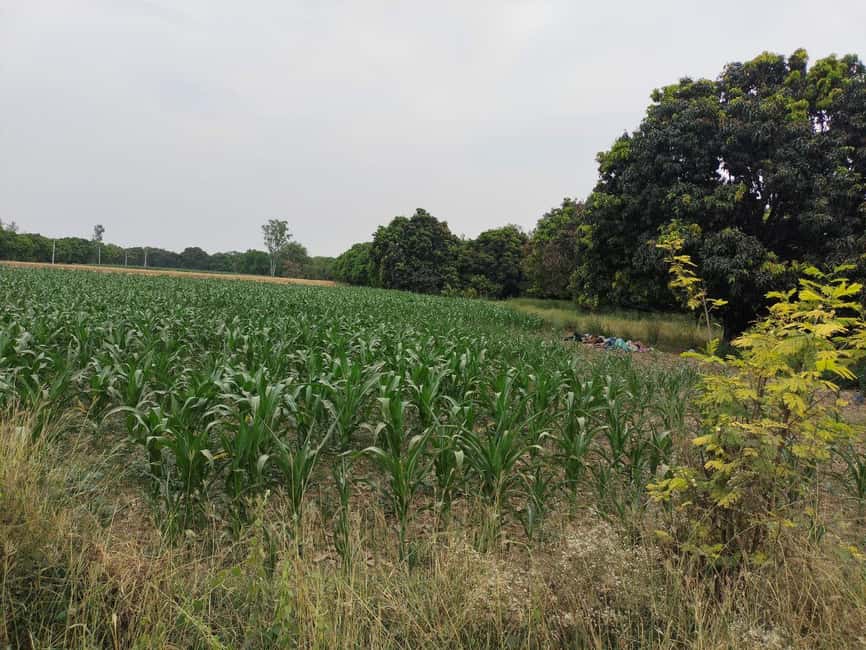 Private Tour to an Indian Village & Cooking Class - The Sum Up