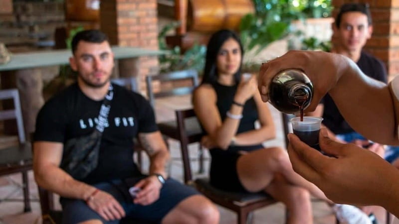 Puerto Vallarta: RZR Canopy River - What to Expect in Detail