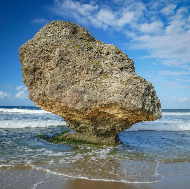 Sweet Life Island Tours - What Makes This Tour Stand Out?