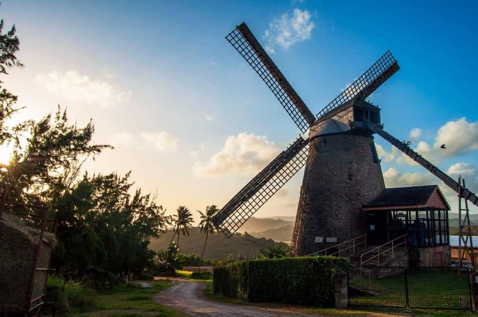 Sweet Life Island Tours - Final Thoughts: Is It Worth It?