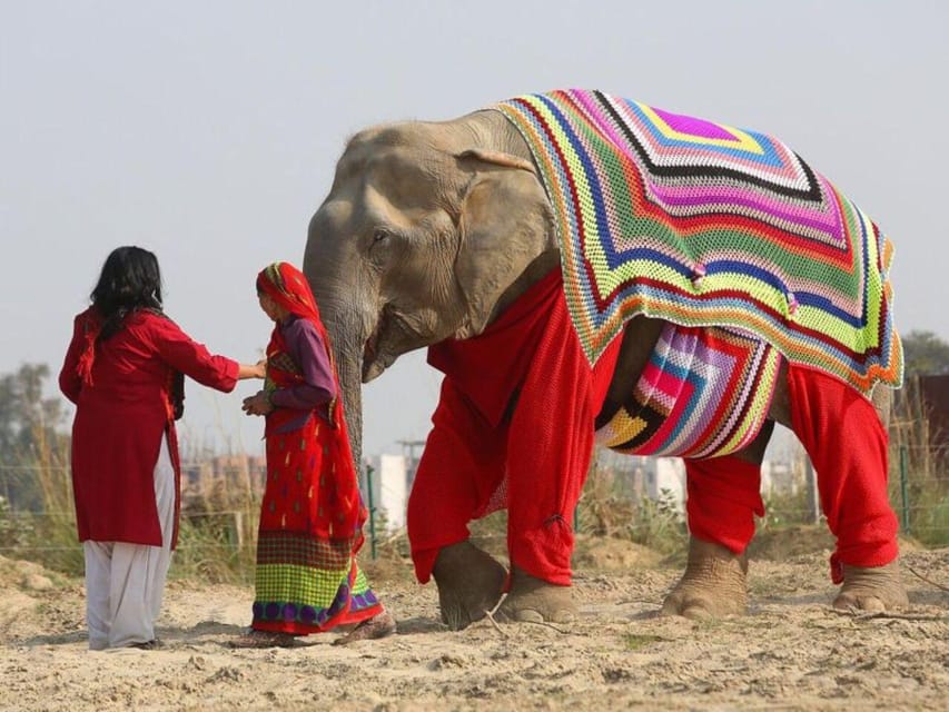 Delhi: 3Day Golden Triangle with Elephant SOS (5 Star Hotel) - What Travelers Say About This Tour