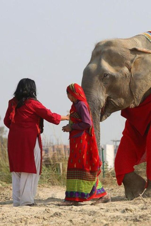 Delhi: 3Day Golden Triangle with Elephant SOS (5 Star Hotel) - Deep Dive Into the Practicalities