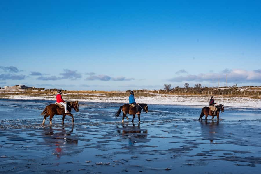 Horseback Riding near Strait of Magellan - Horseback Riding near Strait of Magellan