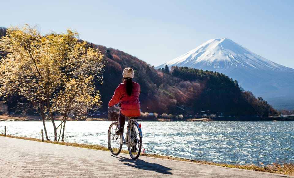 From Tokyo: Mount Fuji Instagram Spots 1-Day Private Tour - Key Points
