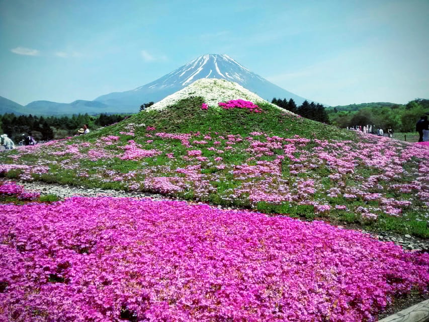 From Tokyo: Mount Fuji Instagram Spots 1-Day Private Tour - What Makes This Tour Stand Out