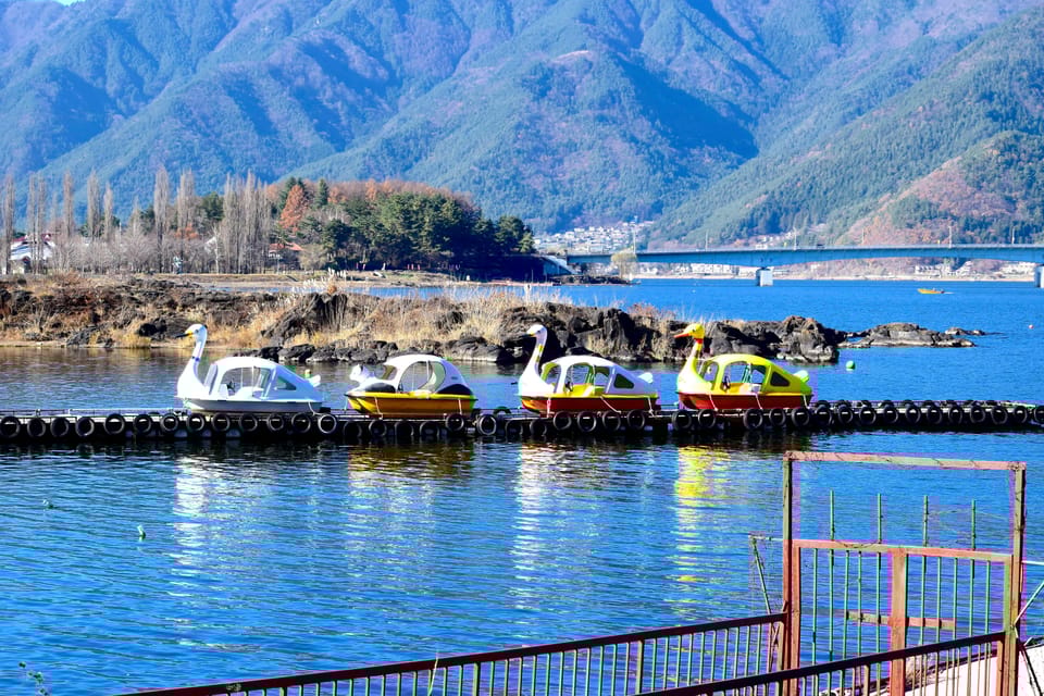 From Tokyo: Mount Fuji Instagram Spots 1-Day Private Tour - Authentic Experiences and Traveler Insights