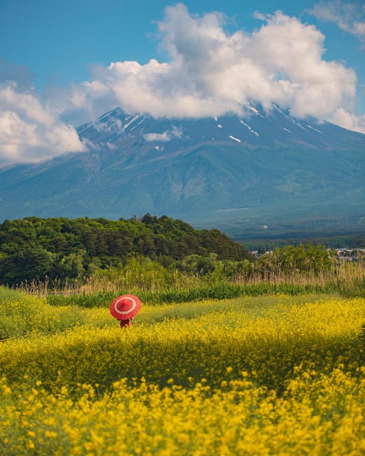 From Tokyo: Mount Fuji Instagram Spots 1-Day Private Tour - The Bottom Line