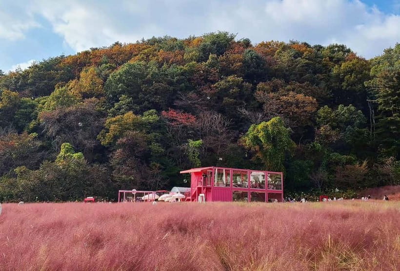 From Seoul: Pocheon, Sanjung Lake and Bidulginang Fall Trip - Exploring the Itinerary: What Makes Each Stop Special