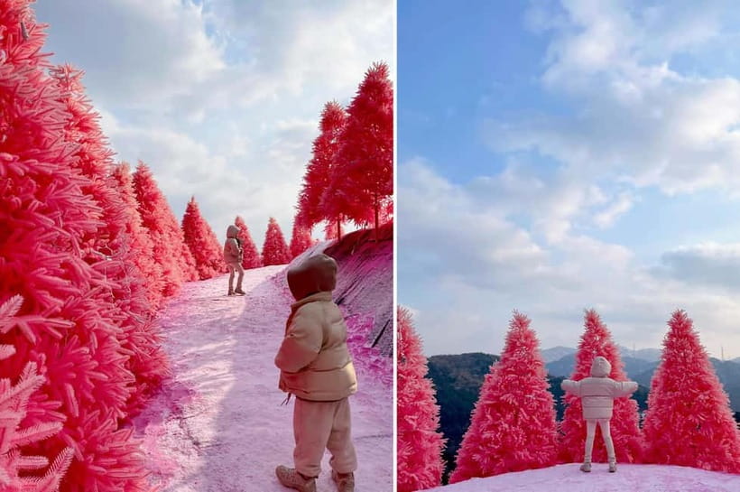 From Seoul: Pocheon, Sanjung Lake and Bidulginang Fall Trip - Key Points