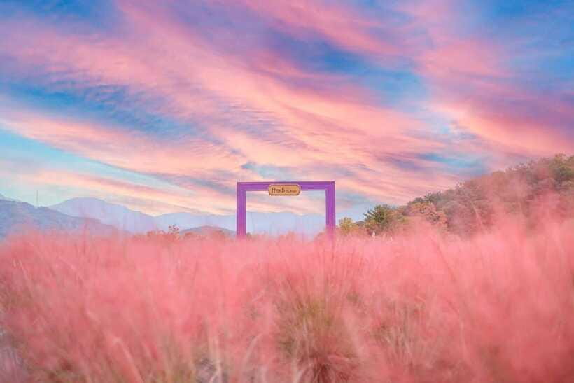 From Seoul: Pocheon, Sanjung Lake and Bidulginang Fall Trip - Who Will Love This Tour?