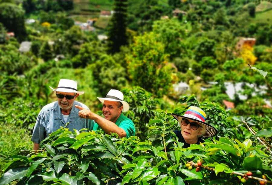 From Bogota: 5 hour guided coffe farm tour - All included - A Deep Dive into the Coffee Farm Tour