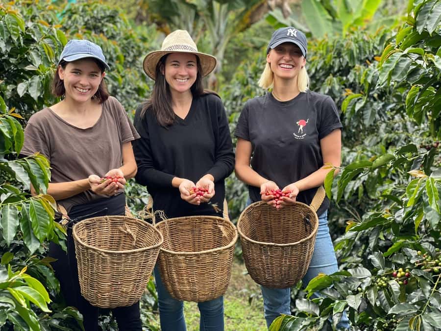 From Bogota: 5 hour guided coffe farm tour - All included - The Experience in Detail