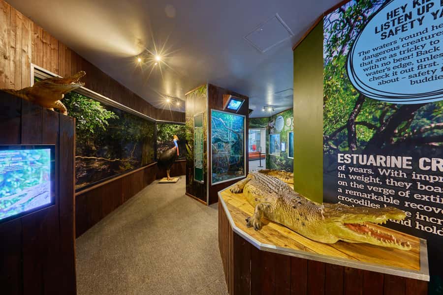 Cairns: Koalas and Creatures Entry Ticket - The Sum Up: Is it Worth It?