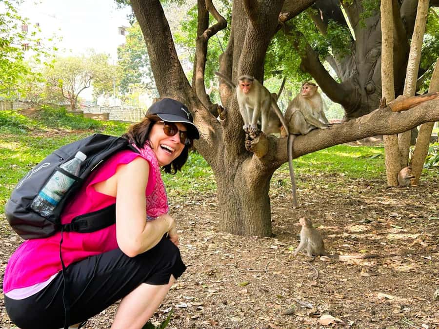 Discover Bangalore Through the Ages  Guided Tour with Lunch - Final Thoughts