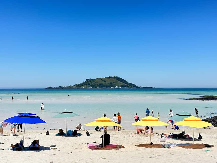 Jeju West: Small Group Healing Tour w/Caves & Dolphins - Introduction: What to Expect from the Jeju West Healing Tour