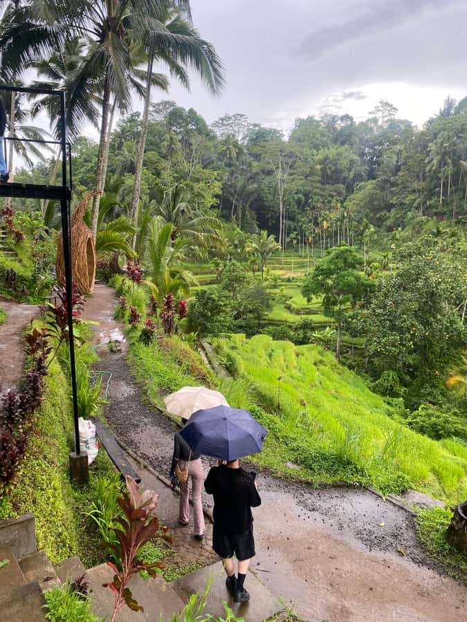 Ubud: Rice Terrace, Monkey Forest, Temple, & Waterfall - Who Will Love This Tour?