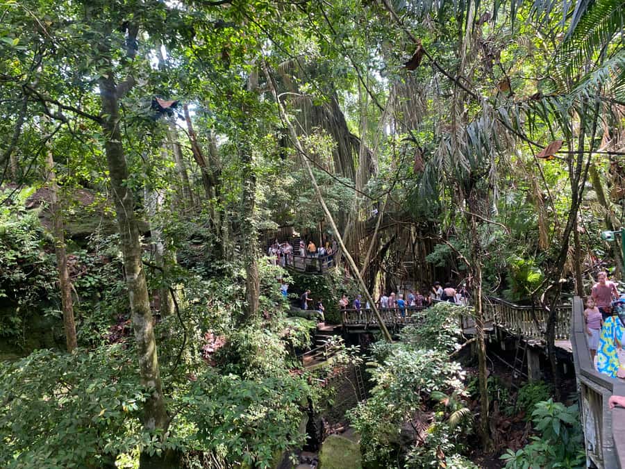 Ubud: Rice Terrace, Monkey Forest, Temple, & Waterfall - Final Words