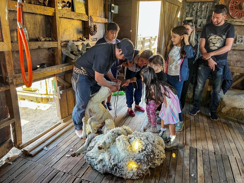 Half-Day Excursion at Estancia 25 de Mayo Field Afternoon - Frequently Asked Questions