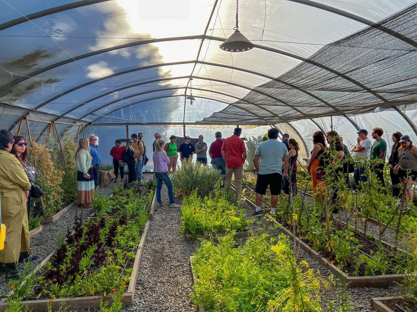 Half-Day Excursion at Estancia 25 de Mayo Field Afternoon - Final Thoughts