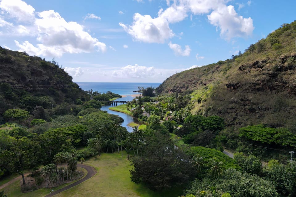 Oahu: Private Tour-North Shore feat. Waimea Falls - Turtle Beach: Watching Seasonal Turtles and Coastal Scenery