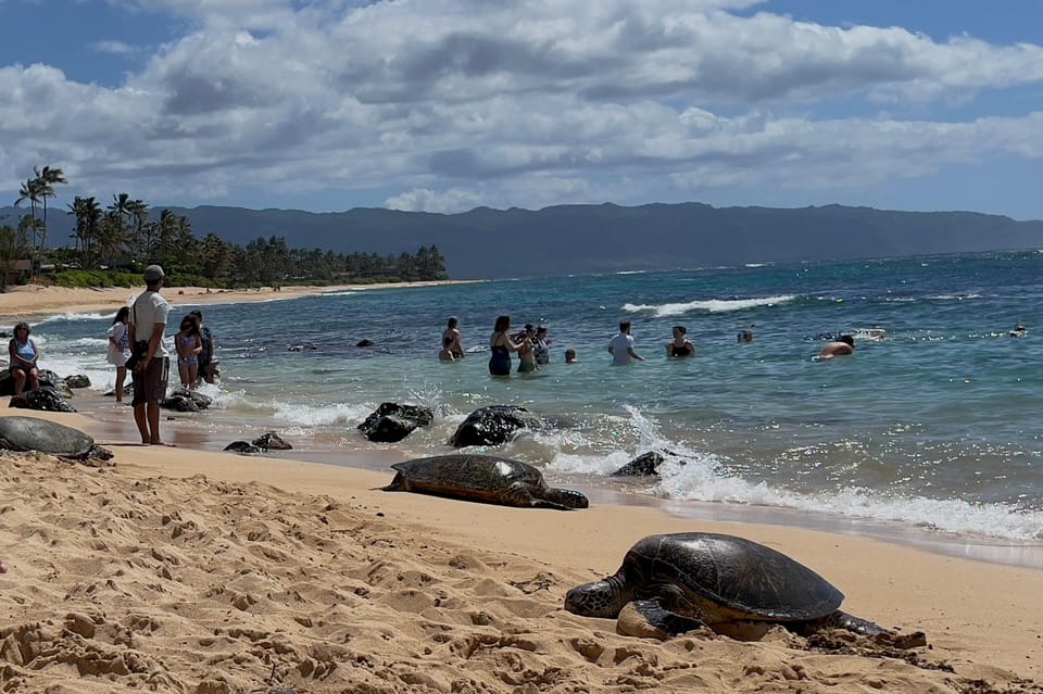 Oahu: Private Tour-North Shore feat. Waimea Falls - Starting the Day: Personalized Pickup and First Impressions