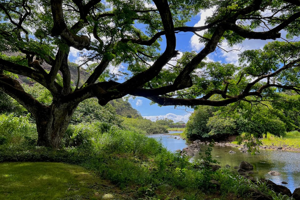 Oahu: Private Tour-North Shore feat. Waimea Falls - FAQs