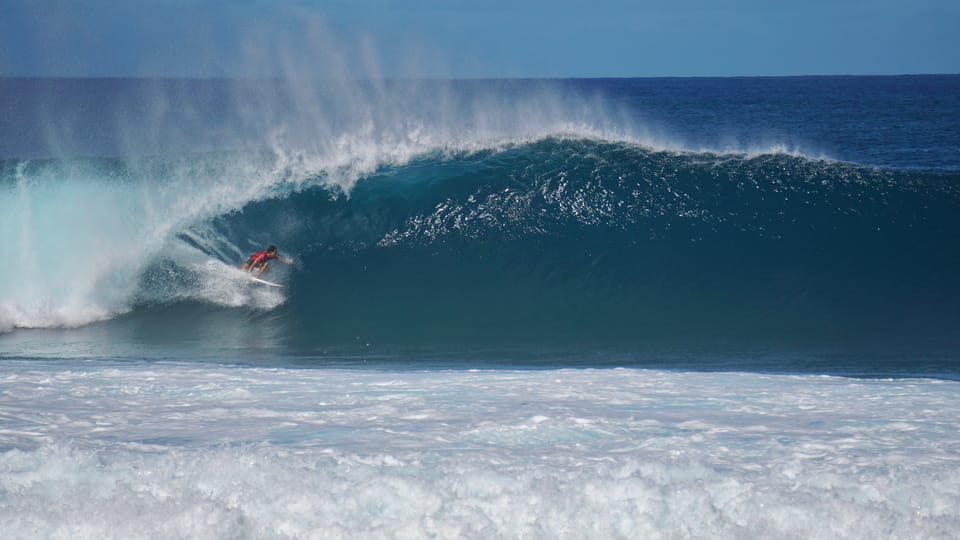 Oahu: Private Tour-North Shore feat. Waimea Falls - Scenic Drive and Cultural Insights