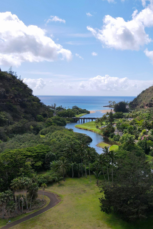 Oahu: Private Tour-North Shore feat. Waimea Falls - Pali Lookout and Final Panoramas
