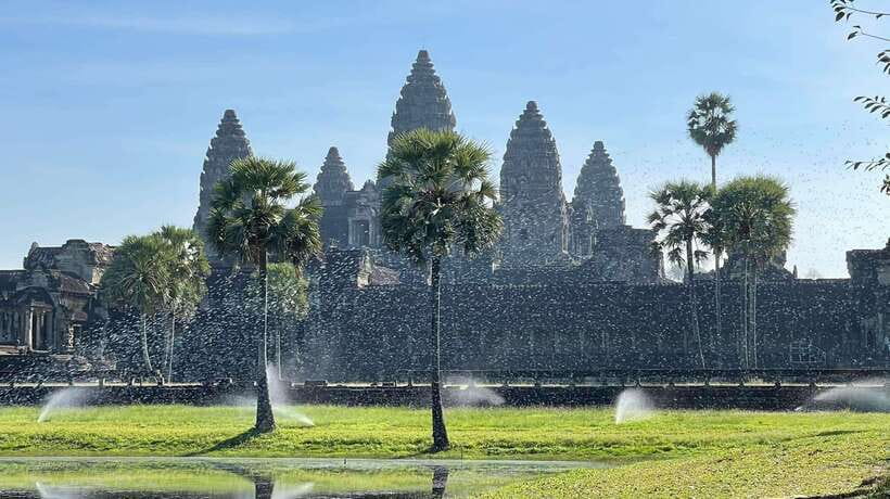 Angkor Wat Temples & Kulen Elephant Forest Day Tour - Key Points