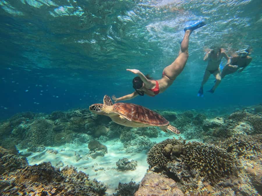 Gili Snorkeling Tour With GO PRO Documentation - Introduction to the Gili Snorkeling Experience