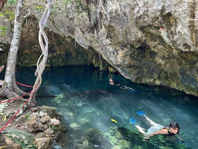 Cancun: 3 Cenotes & 1 Lagoon Tour - Cancun: 3 Cenotes & 1 Lagoon Tour – A Detailed Look at an Adventure Through Nature’s Hidden Gems