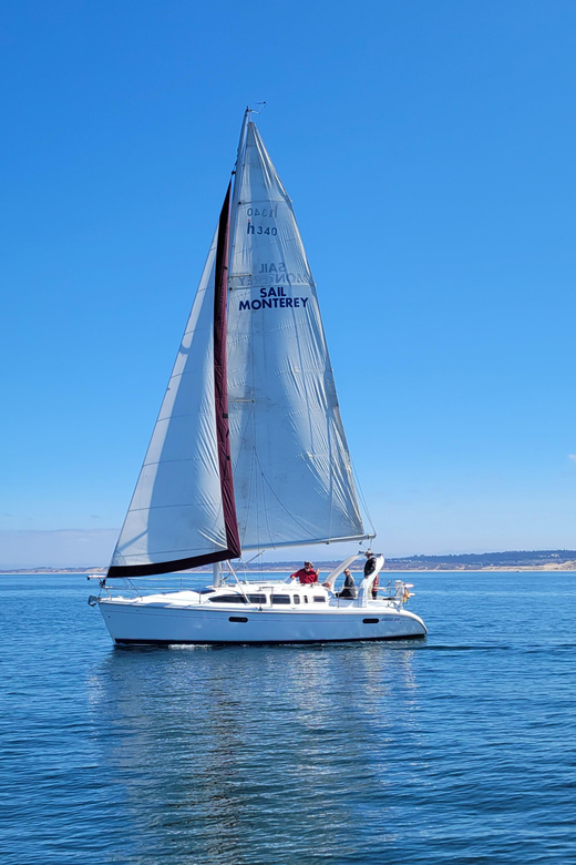 Monterey: Private Whale Watching/Sailing Tour for 6 - The Captain’s Knowledge: Making Every Moment Special