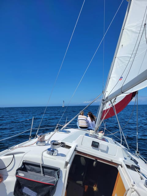 Monterey: Private Whale Watching/Sailing Tour for 6 - Comfort and Logistics