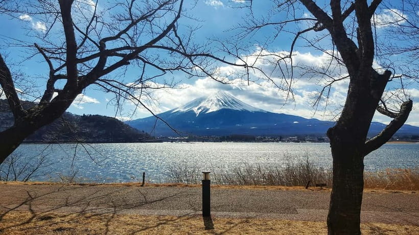 From Tokyo: Hakone Day Trip with English Speaking Driver - FAQ