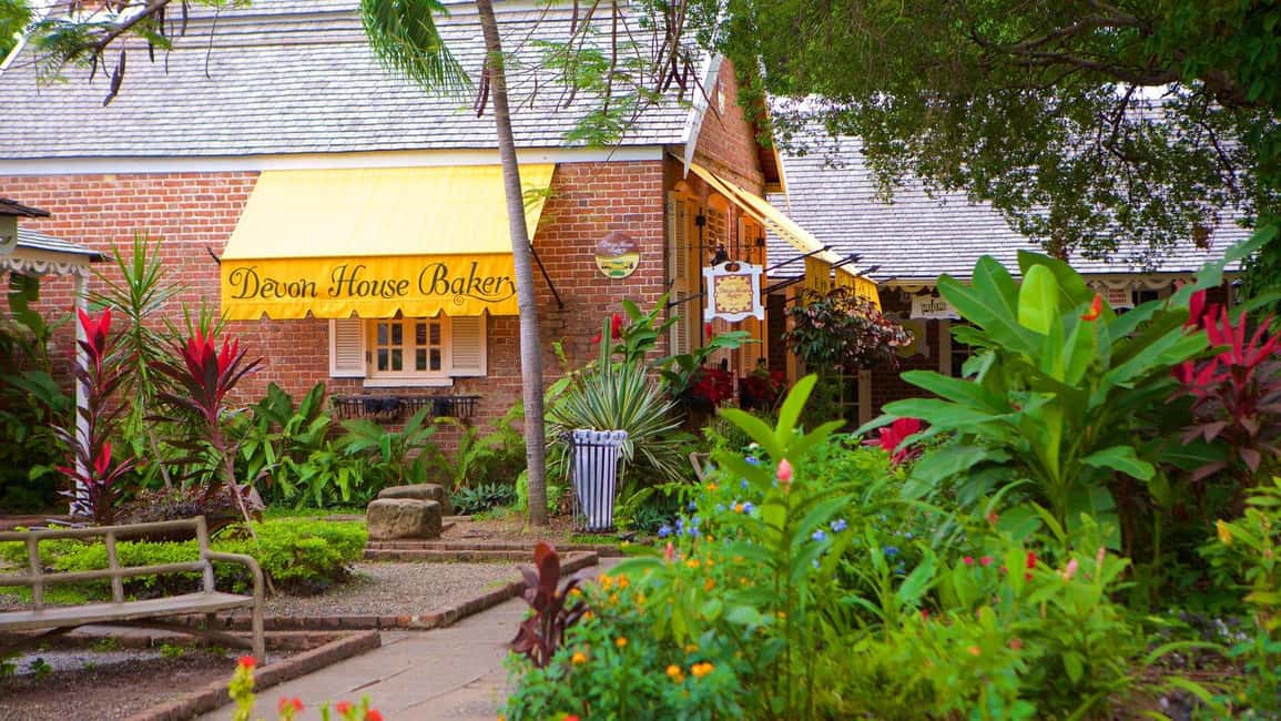 The Devon House Guided City Tour - Key Points