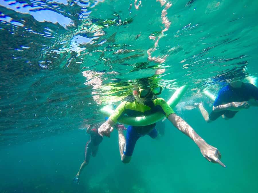 Sydney: Manly and Shelly Beach Snorkeling Tour - Practical Tips for Your Snorkeling Adventure