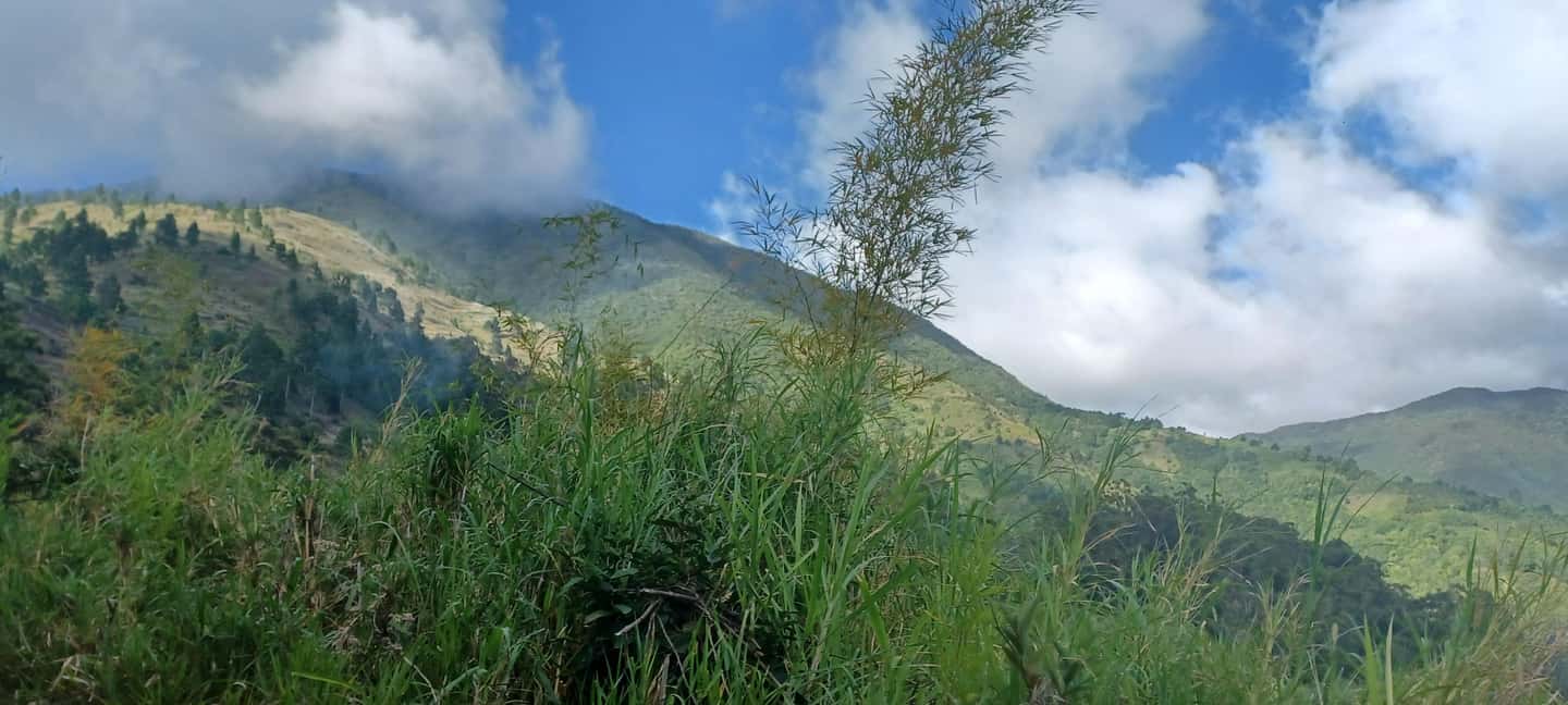 BLUE MOUNTAIN TOUR FROM OCHO RIOS - Exploring the Blue Mountains from Ocho Rios: A Guide to an Authentic Jamaican Experience