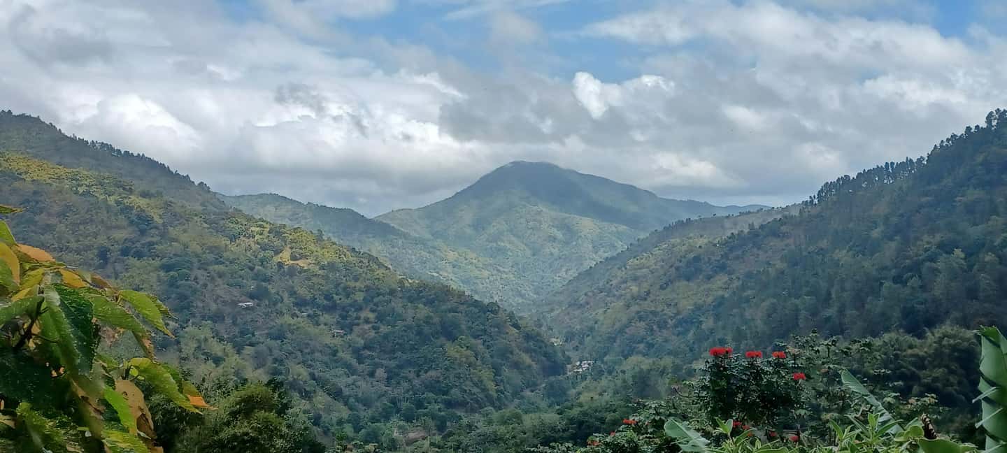 BLUE MOUNTAIN TOUR FROM OCHO RIOS - A Deep Dive into the Blue Mountain Tour Experience