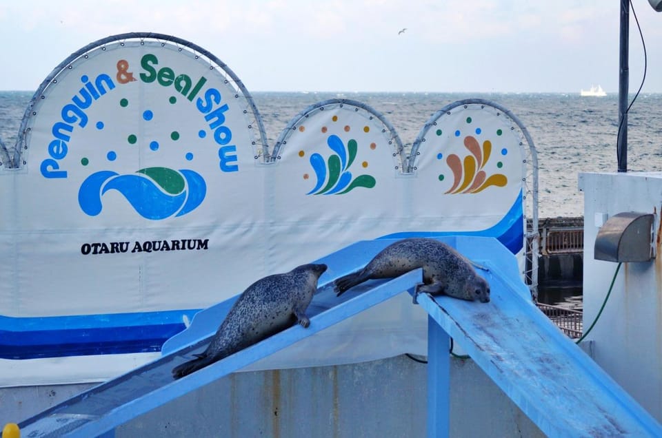 From Sapporo: Hokkaido Highlights Day Trip - Who This Tour Is Best For