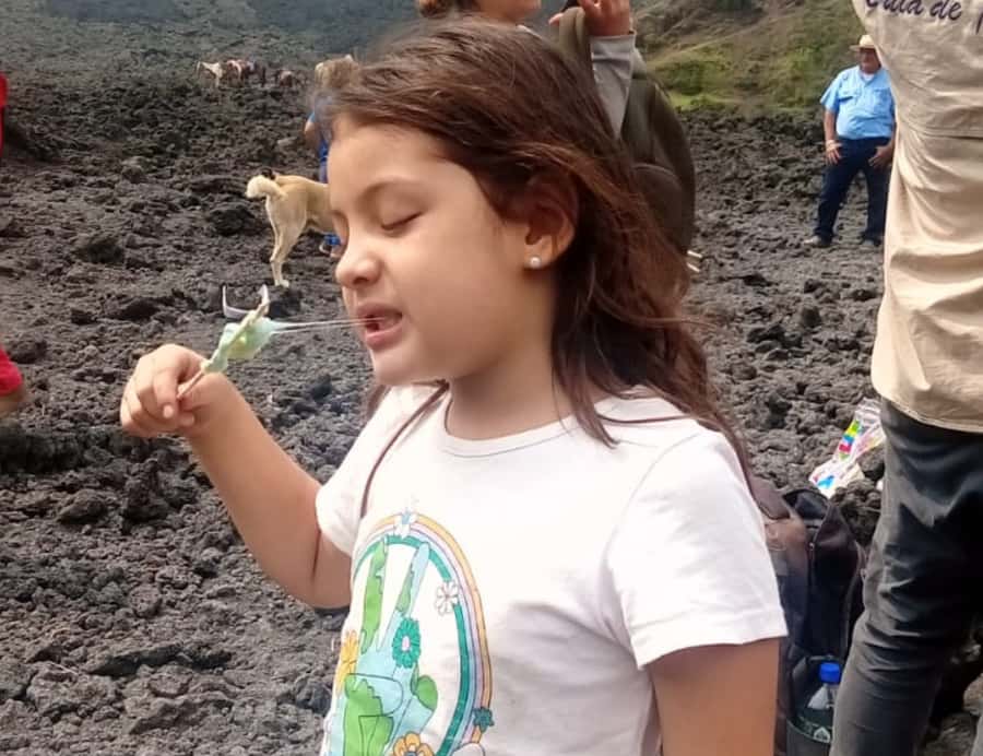 Antigua: Marshmallows Roasting at Pacaya Volcano 6-hour Tour - Who Should Consider This Tour?