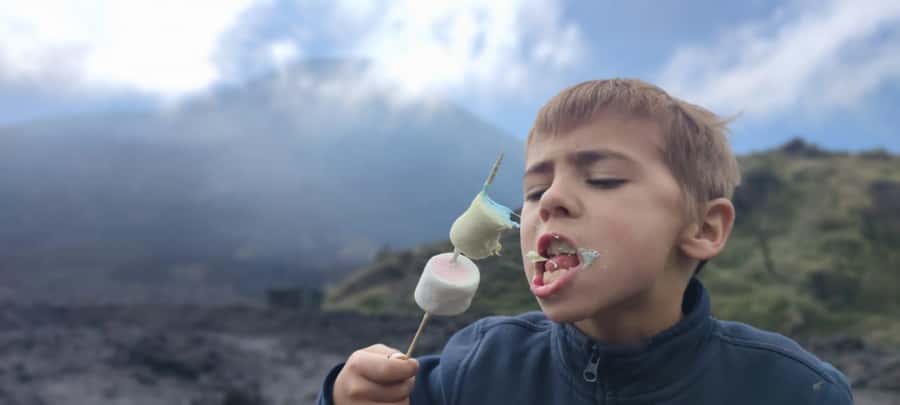 Antigua: Marshmallows Roasting at Pacaya Volcano 6-hour Tour - The Sum Up