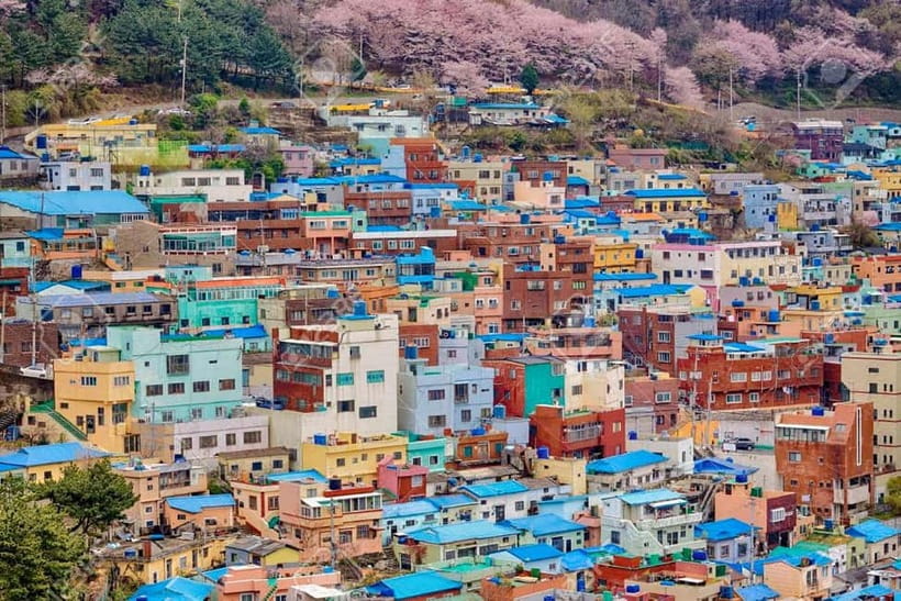 Busan: Private Chartered Car Tour - FAQ