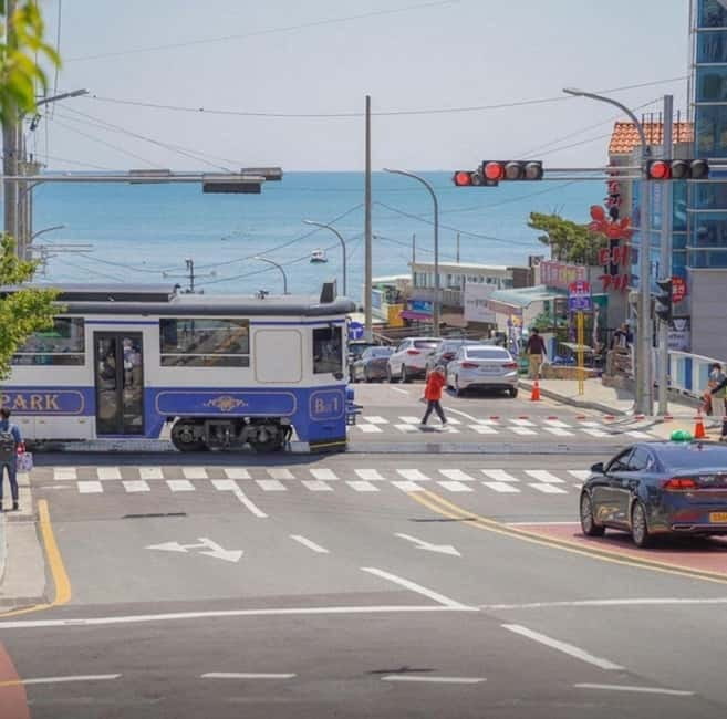 Busan: Private Chartered Car Tour - Authentic Experiences & Insights from Reviews