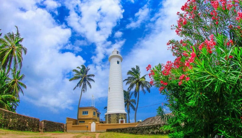 From Colombo: Galle Fort & Jungle Beach, Bentota Day Tour - Who Will Enjoy This Tour?