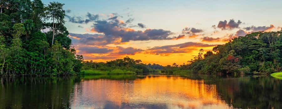 Manú Park | Paucartambo | Pilcopata 3 days includes food - Weather and Schedule Flexibility