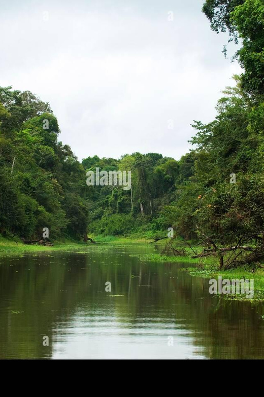 Manú Park | Paucartambo | Pilcopata 3 days includes food - Day 3: The Parrot Clay Lick and Return to Cusco